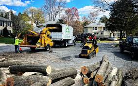 How Our Tree Care Process Works  in  Princes Lakes, IN